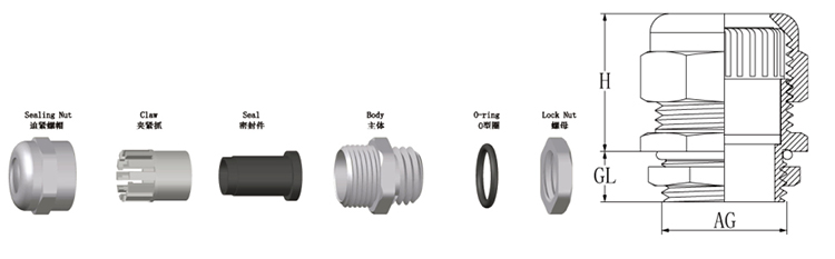 SS Cable Gland