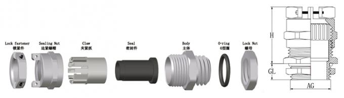 Metal Double Locking Cable Gland