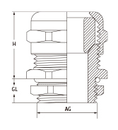 M Type