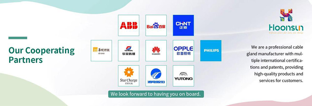 Waterproof Cable Gland Testing: Ensuring Reliable Performance in Harsh Environments Secure Connection and Mechanical Strength